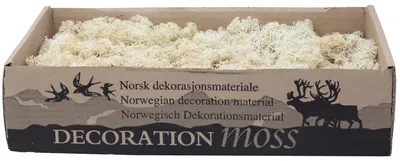 Produktbild von Islandmoos gebleicht 400g - Hochwertige Natürliche Dekoration für Trauer & Festtisch