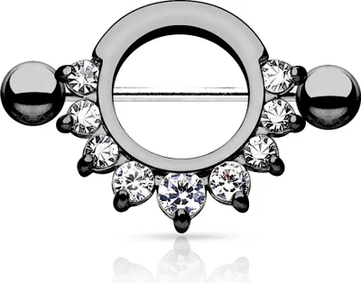 Produktbild von Brustwarzen Piercing Nippelpiercing Brustpiercing Nipple Shield Schild Zirkonia Kristalle
