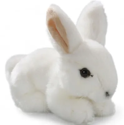 Immagine prodotto di Carl Dick lepre seduta bianca, lepre delle nevi, circa 17cm 2755003 peluche, peluche, peluche