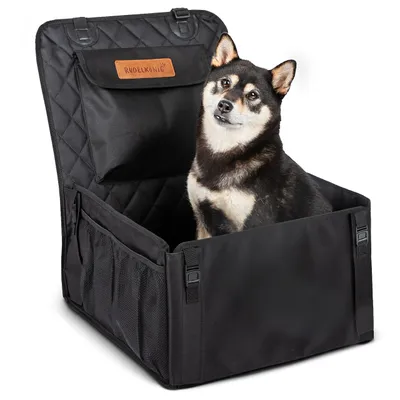 A dog sits in a black car seat designed for pets.