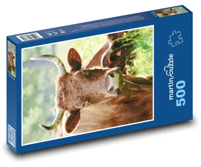 Obrázek produktu pro martinpuzzle - Puzzle 500 - Kráva