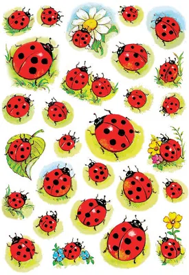 Produktbild von Schmucketiketten Marienkäfer und Blumen