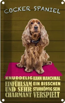 Produktbild von vianmo Blechschild 30x20 cm Cocker Spaniel Hund knuddelig Tier Haustier