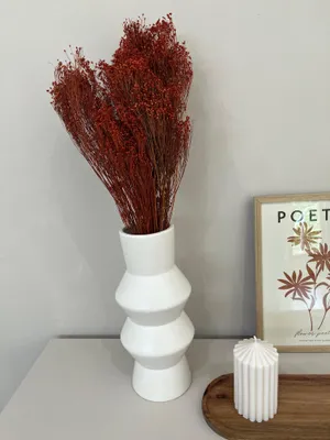 Produktbild von Broom Bloom Trockenblumen 1 Bund 40-50cm voluminöse Deko Blüten langlebig
