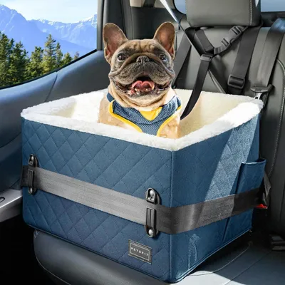 Image de Suréleveur de siège auto pour chien, 12,5 cm, panier pour chien pour siège arrière de voiture, jusqu'à 12 kg, couleur bleue
