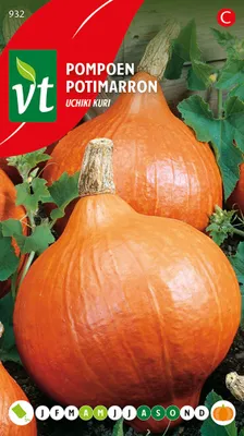 Immagine prodotto di Semi di zucca Uchiki Kuri - Circa 3 gr | VT_932