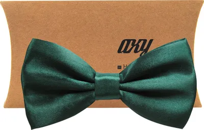 Produktbild von axy®Vorgebundene Fliege Schleife mit Geschenkbox in Grün-Hochzeit-Business Outfit