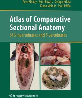 Obrázok produktu pre Atlas of Comparative Sectional Anatomy of 6 invertebrates and 5 vertebrates