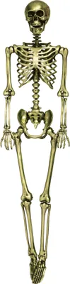 Produktbild von Goldenes Skelett – Halloweendeko 90 cm
