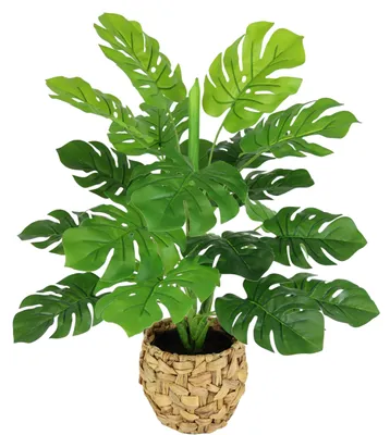 Productafbeelding van Kunstplant Monstera in pot, 46 cm. Kunstplant, splitphilodendron, bladplant