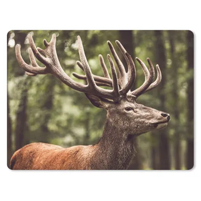 Produktbild von MuchoWow® Mauspad Mousepad Hirsch - Natur - Geweih - Wald - Tiere 23x19 cm - Mousepads - Maus Mat - Pad - Mausunterlage - Schreibtischunterlage - Mauspad