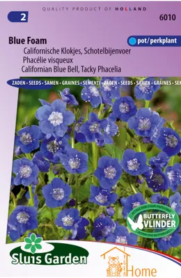 Produktbild von Bienenfutter „Bee Dream“ von Blue Foam Seeds, Phacelia für Bestäuber – Blue Foam Bee Dream Seeds, bienenfreundliche Phacelia