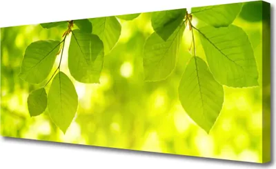 Produktbild von Tulup Leinwand-Bilder 125x50 Wandbild Canvas Kunstdruck Blätter Pflanzen