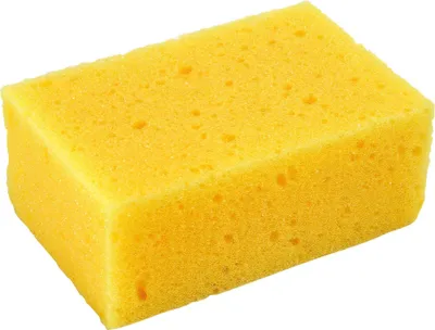 Obrázek produktu pro Houba mycí na mytí auta - mořská 12x8x5cm