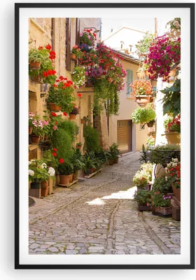 Produktbild von Gerahmtes Poster - Schwarzer Rahmen - Blume Straße Haus - 61x91,5 cm - Wand Bild - Wanddeko - Wandbilder - Kunstposter - Wandposter - Bilderrahmen - Bilder - Kunstdruck - Wandbild - P2BPA61x91-3586