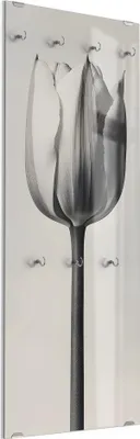 Produktbild von DEQORI Kleiderhaken aus Glas 50x125 cm 'Die stille Tulpe' Wand Garderobe Paneel Haken