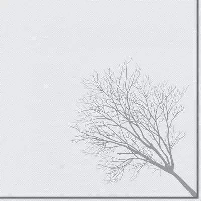 Produktbild von Papstar 86548, Grau, Seidenpapier, Abbildung, 54 g/m², 400 mm, 400 mm