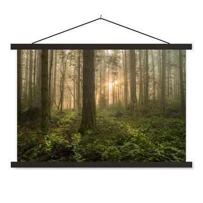 Produktbild von MuchoWow® Textilposter Wald - Sonne - Licht 90x60 cm mit schwarzem Rahmen - Aufhängungssatz