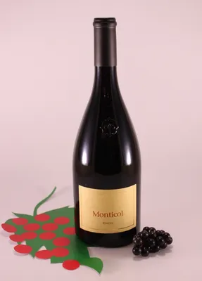 Produktbild von Blauburgunder Riserva Monticol - 2022 - Kellerei Terlan