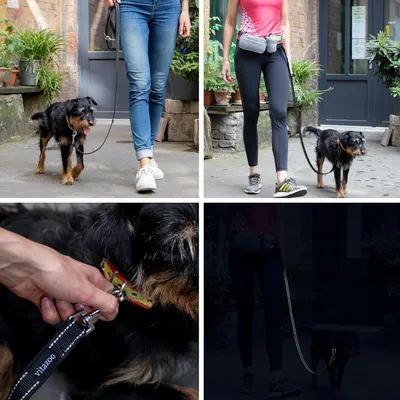 Produktbild von Hundeband Schwarz, reflektierend, 2 m x 2,5 cm, stabil und an 3 Längen verstellbar, geeignet für große und starke Hunde.
