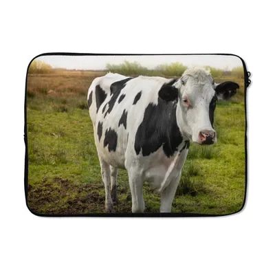 Produktbild von MuchoWow® Laptop Hülle 13 Zoll Kuh - Porträt - Friesisch Laptoptasche - Laptophülle - Sleeve - Rundumschutz