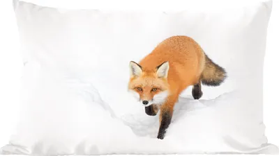 Produktbild von MuchoWow® Zierkissen Sofakissen Wohnzimmer Dekokissen 60x40 cm Fuchs - Schnee - Winter - Kopfkissen - Polster mit Foto