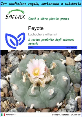 Immagine prodotto di SAFLAX Set regalo - Peyote - 20 semi - Lophophora