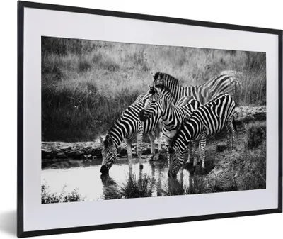 Produktbild von MuchoWow® Gerahmtes Poster Trinkende Zebras 60x40 cm - Poster mit Schwarzem Bilderrahmen Wandposter Rahmen Foto Bilder - Schlafzimmer - Plakat in Rahmen - Drucken