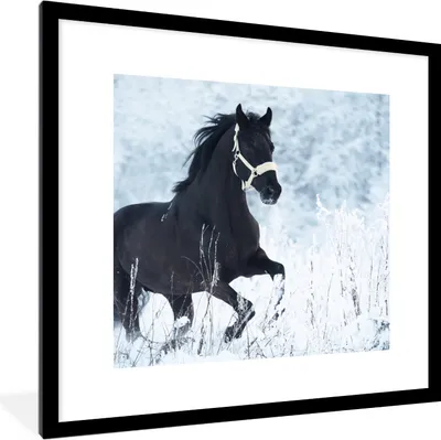 Produktbild von MuchoWow® Gerahmtes Poster Pferd - Schnee - Winter 40x40 cm - Poster mit Schwarzem Bilderrahmen Wandposter Rahmen Foto Bilder - Poster - Plakat im Rahmen