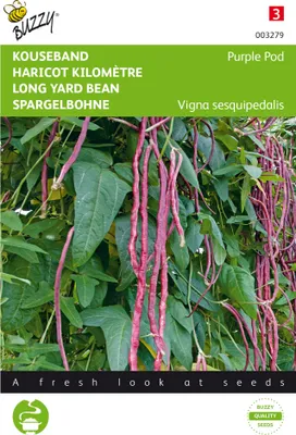 Produktbild von Spargelbohne Purple Pod | Bohnensamen von Buzzy Seeds