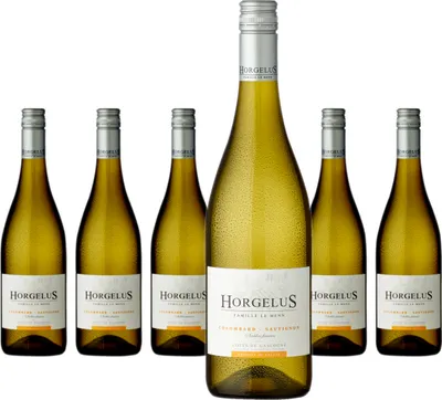Produktbild von 6 x Horgelus Colombard - Sauvignon Côtes De Gascogne
