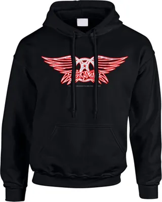 Immagine prodotto di Aerosmith - Felpa con logo e cappuccio