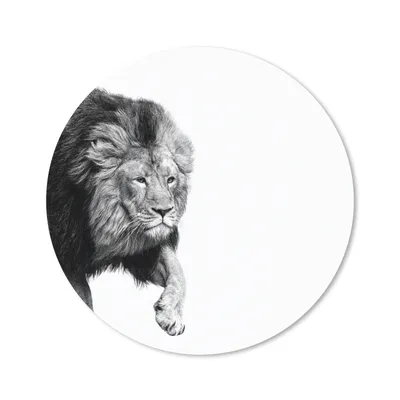 Produktbild von MuchoWow® Mauspad Mousepad Löwe - Tiere - Schwarz - Weiß 30x30 cm - Mousepads - Maus Mat - Pad - Mausunterlage - Tischunterlage - Schreibtischmatten