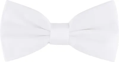 Produktbild von Ladeheid Kinder Jungen Fliege MJ (10cm x 5cm)