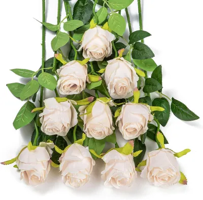 Produktbild von Kunstblumen Rosen – Set mit 10 Stück – Seidenrosen mit langem Stiel – Künstliche Blumen – Hochzeit