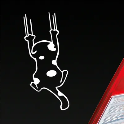 Produktbild von Auto Aufkleber Katze Cat Animal Tier Tuning Kratzen 6x12 cm Weiss Glanz Sticker Heckscheibenaufkleber