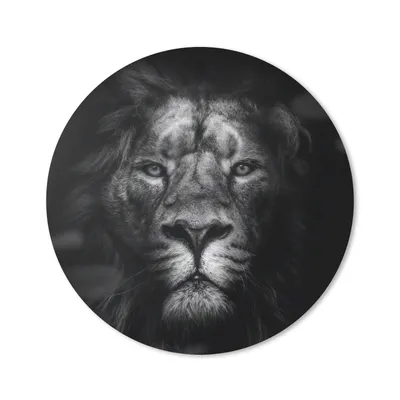 Produktbild von MuchoWow® Mauspad Mousepad Tiere - Löwe - Raubtier - Schwarz - Weiß 40x40 cm - Mousepads - Maus Mat - Pad - Mausunterlage - Schreibtisch Accessoires