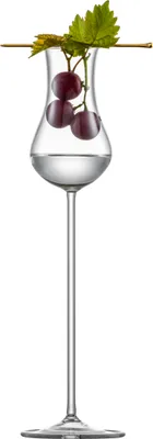 Image de Eisch Vorteilset 2 Stück Grappaglas 572/4.5 in Geschenkröhre SPIRITS EXCLUSIV 47757245 und Geschenk + Spende