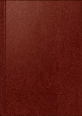 Produktbild von 2027 BRUNNEN Buchkalender A5 w.rt 1S/1T Miradur