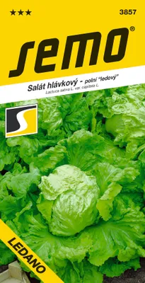 Obrázek produktu pro Salát Ledano - ledový polní, žlutý 0,6g