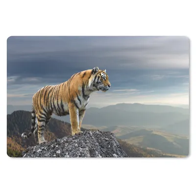 Produktbild von MuchoWow® Mauspad Mousepad Tiger - Berg - Natur - Landschaft 27x18 cm - Mousepads - Maus Mat - Pad - Mausunterlage - Büroartikel - Desk Matten