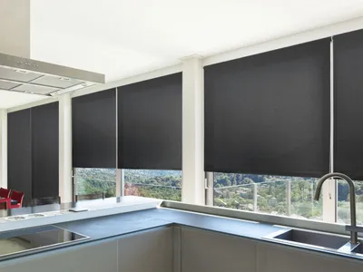 Immagine prodotto di Tende a rullo oscuranti Mini Daylight, 120 x 150 cm, nero