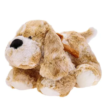 Image de BEPPE Chien Roddy 30cm 10644