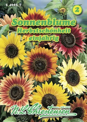 Produktbild von Sonnenblume Herbstschönheit | Sonnenblumensamen von N.L. Chrestensen