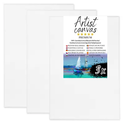 Immagine prodotto di 3x Tela su telaio, 100% cotone, 280 g/m², fondo bianco 80X100 cm