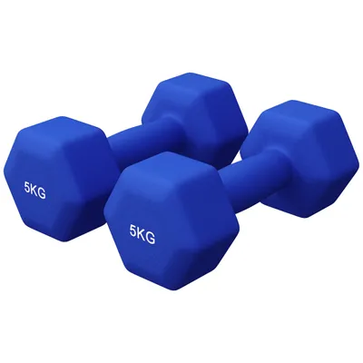 Produktbild von GORILLA SPORTS® Hanteln Set - Neopren, 2x5kg, Gusseisen, Blau - Hexagon Kurzhanteln, Hantelset, Pilates Gewichte für Frauen, Männer, Fitness, Zuhause