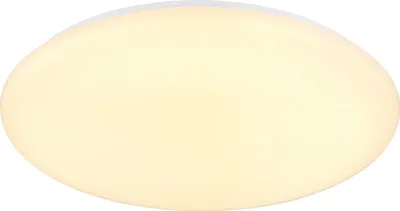 Zdjęcie produktu dla GLOBO 41261-24, LED, 3000 K, 2500 lm, IP20