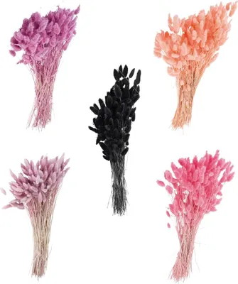 Produktbild von Trockenblumen Deko Bund Phalaris gefärbt verschiedene Farben, 5_Farbe:Rosa