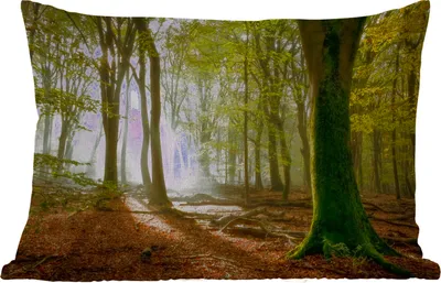 Produktbild von MuchoWow® Outdoor Kissen - Wald - Sonne - Jahreszeiten - Landschaft - 50x30 cm - Wetterfest - Lounge Kissen - Sofa kissen - Wohnzimmer Dekoration