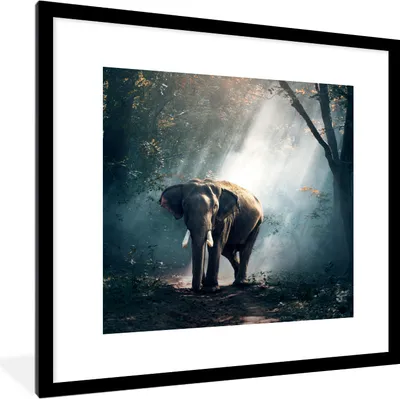 Produktbild von MuchoWow® Gerahmtes Poster Elefant - Tiere - Licht - Wald - Natur - Wildtiere 40x40 cm - Poster mit Schwarzem Bilderrahmen Wandposter Rahmen Foto Bilder - Poster - Plakat im Rahmen